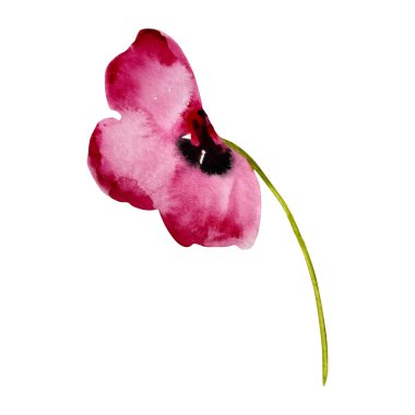 Soyut pembe haşhaş suluboya, tasarım ve baskı için çiçek.