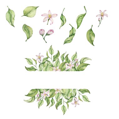 Meyve, dilim, yaprak ve çiçeklerle suluboya limon çerçevesi, yaz tasarımı