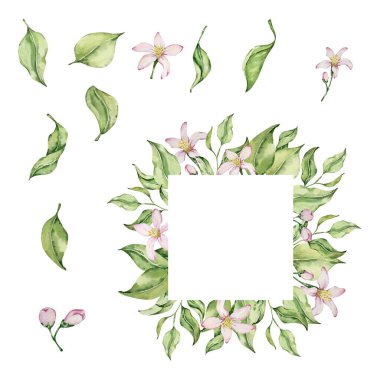 Meyve, dilim, yaprak ve çiçeklerle suluboya limon çerçevesi, yaz tasarımı