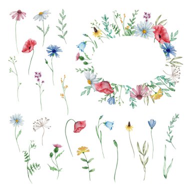 Yaban çiçekleriyle suluboya çerçeve, yaz çiçekleri çizimi