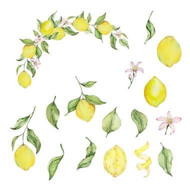 Meyve, dilim, yaprak ve çiçeklerle suluboya limon çerçevesi, yaz tasarımı