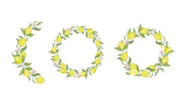 Meyve, dilim, yaprak ve çiçeklerle suluboya limon çerçevesi, yaz tasarımı