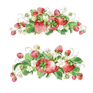 Çiçekli suluboya çilek çalısı ve kelebek seti, tasarım ve baskılar için yaz illüstrasyonu