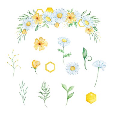 Bal peteği, papatya ve yapraklı suluboya çerçeve, çiçek dekoru