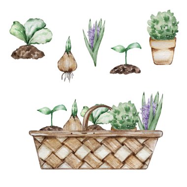 Kağıt tasarımı ve baskısı için bahçe çiçekleriyle suluboya sepet