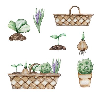 Kağıt tasarımı ve baskısı için bahçe çiçekleriyle suluboya sepet