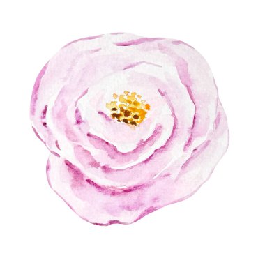 Suluboya pembe çiçek, çiçek deseni kart ve baskı için.