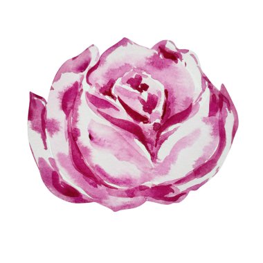 Suluboya pembe çiçek, çiçek deseni kart ve baskı için.