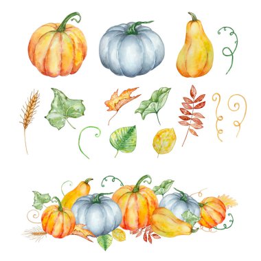 Suluboya balkabakları ve yeşillik örnekleme seti, sonbahar düzenlemesi