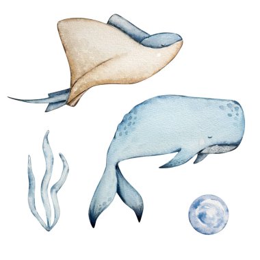 Deniz hayvanlarının altındaki suluboya set, mavi su kreşi.