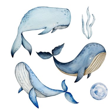 Deniz hayvanlarının altındaki suluboya set, mavi su kreşi.