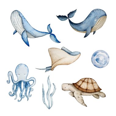Deniz hayvanlarının altındaki suluboya set, mavi su kreşi.