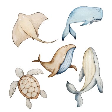 Deniz hayvanlarının altındaki suluboya set, mavi su kreşi.