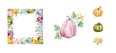 Suluboya sonbahar çerçeveleri balkabağı ile ayarlanır ve baskı ve tasarım için yapraklar dökülür