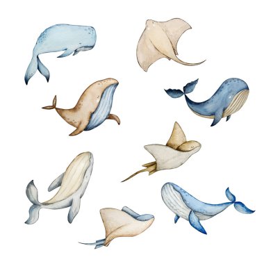 Deniz hayvanlarının altındaki suluboya set, mavi su kreşi.