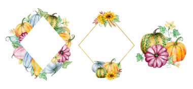 Suluboya sonbahar çerçeveleri balkabağı ile ayarlanır ve baskı ve tasarım için yapraklar dökülür