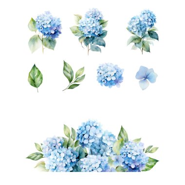 Suluboya mavi ortanca seti, kart ve baskı için çiçek dekoru dizaynı