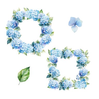 Suluboya ortanca ve yapraklı çelenk, kart ve baskı için çiçek tasarımı