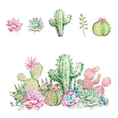 Suluboya kaktüs ve sulu kompozisyonlar seti, tropikal bitkiler, kart ve baskı için botanik illüstrasyon