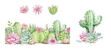 Suluboya kaktüs ve sulu çerçeve seti, tropikal bitkiler, kart ve baskı için botanik illüstrasyon