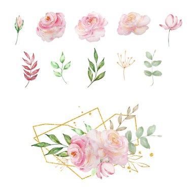 Suluboya pembe estetik güller, zarif çiçekler ve tasarım ve baskı için yapraklar.