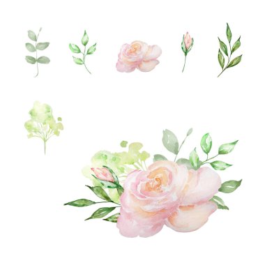 Suluboya pembe estetik güller, zarif çiçekler ve tasarım ve baskı için yapraklar.