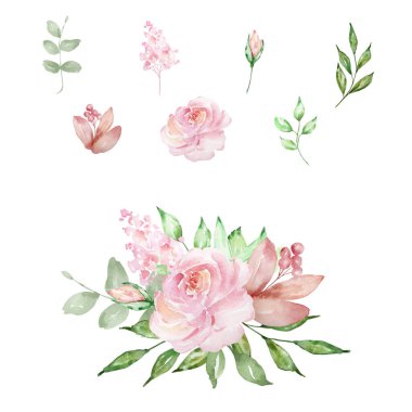 Suluboya pembe estetik güller, zarif çiçekler ve tasarım ve baskı için yapraklar.