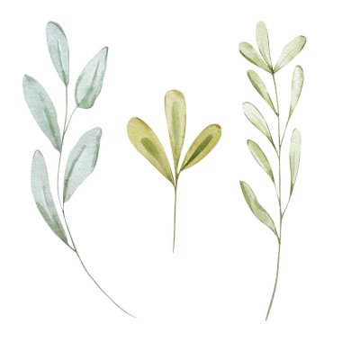 Bahar yaprakları suluboya, desen ve baskı için pastel çiçek.