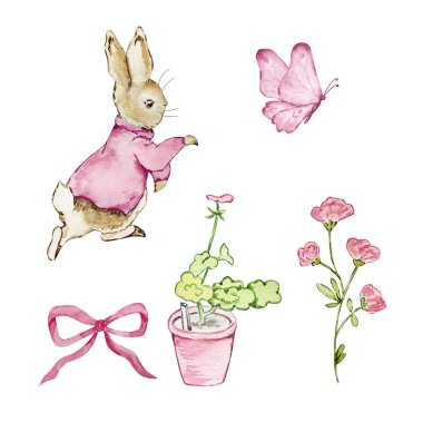 Suluboya Peter Rabbit seti, resimli peri masalı çocuk kitabı.