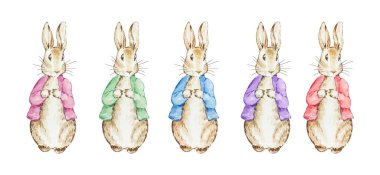 Suluboya Peter Tavşan Ceketli, resimli peri masalı çocuk kitabı