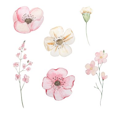 Bahar çiçekleri suluboya, tasarım ve baskı için pastel çiçek