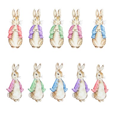 Suluboya Peter Tavşan Ceketli, resimli peri masalı çocuk kitabı