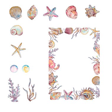 Metin ve sualtı teması için kopyalama alanı olan suluboya deniz kabukları ve denizyıldızı çerçevesi