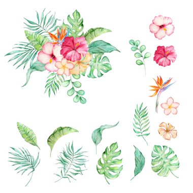 Yaz tasarımları için suluboya bir buket tropikal çiçek ve yapraklar..