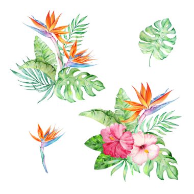 Yaz tasarımları için suluboya bir buket tropikal çiçek ve yapraklar..