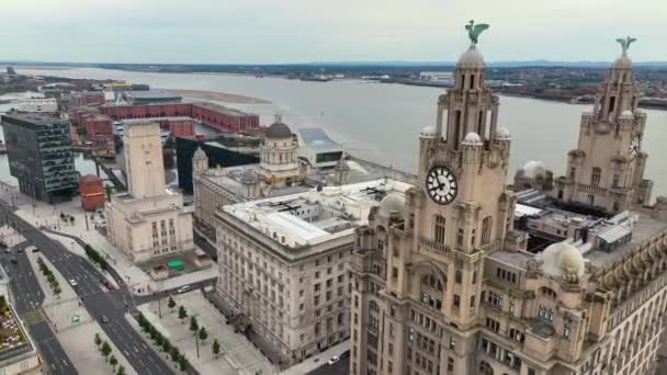 Royal Liver Binası Cunard Liverpool Limanı Ndaki Liverpool Binası Dahil — Stok video