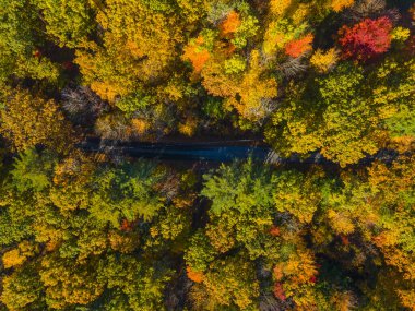 Chichester, New Hampshire NH, ABD 'nin tarihi şehir merkezinde sonbaharda kırsal manzaranın havadan görüntüsü. 