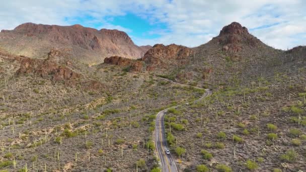 美国亚利桑那州图森市萨瓜罗国家公园附近的图森山脉空中景观与索诺兰沙漠景观 — 图库视频影像