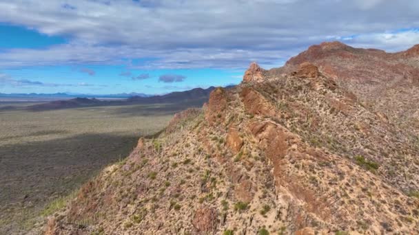ツーソン山脈の空中からの眺めソノラン砂漠の風景米国アリゾナ州ツーソン市のサガロ国立公園近くのゲイツ峠からの眺め — ストック動画