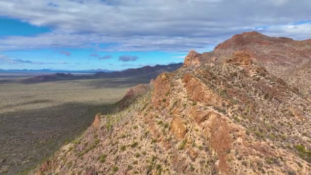 ツーソン山脈の空中からの眺めソノラン砂漠の風景米国アリゾナ州ツーソン市のサガロ国立公園近くのゲイツ峠からの眺め — ストック動画