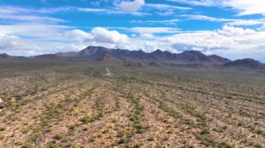 Wasson Tepesi, Arizona AZ, ABD 'nin Tucson kentindeki Saguaro Ulusal Parkı' ndaki Tucson Dağı Bölgesi 'nde Sonoran Çölü manzaralı hava manzarası.. 