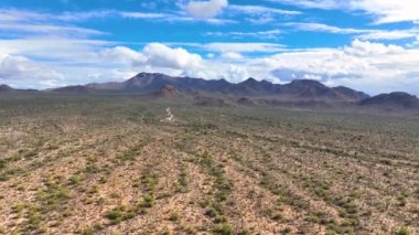 Wasson Tepesi, Arizona AZ, ABD 'nin Tucson kentindeki Saguaro Ulusal Parkı' ndaki Tucson Dağı Bölgesi 'nde Sonoran Çölü manzaralı hava manzarası.. 