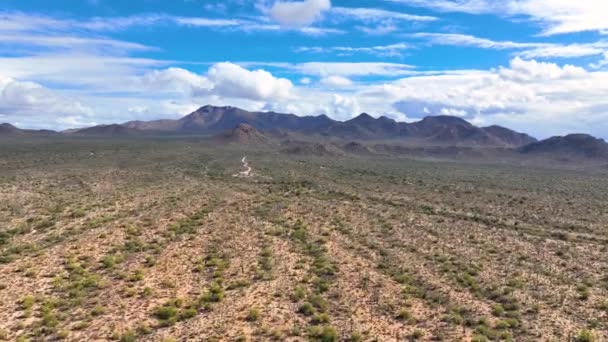 米国アリゾナ州ツーソン市のサガロ国立公園のツーソン山地区にあるソノラン砂漠の風景とワソンピーク航空ビュー — ストック動画