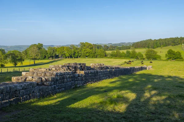 Black Carts Turret in Hadrian\'s Wall ruin near village of Chollerford in town of Hexham in England, UK.