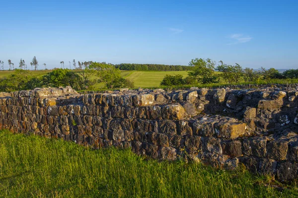 İngiltere 'nin Hexham kasabasındaki Chollerford köyü yakınlarındaki Hadrian' s Wall harabelerinde Kara Arabalar.. 