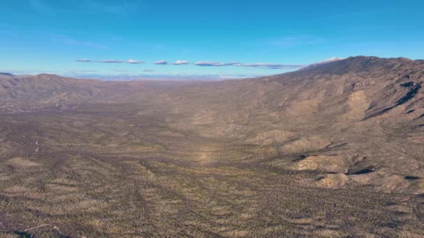 リノコン山脈のタンクヴェルディリッジ ツーソン アリゾナAz ツーソン市のサガロ国立公園のソノラン砂漠の風景と空中ビュー — ストック動画