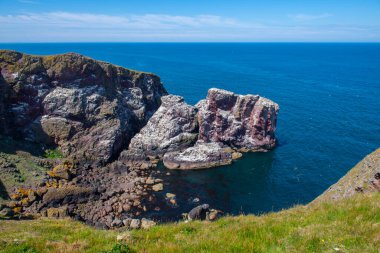 St. Abbs Head Kıyı Kayalıkları Yazın St. Abbs, Berwickshire, İskoçya, İngiltere yakınlarındaki bir köyde hava manzaralı. 