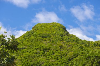 Hollanda 'nın Saba kentindeki tarihi Windwardside kasabasından güneşli bir günde Mount Scenery. Manzara Dağı bugün hala hareketsiz olan bir volkan.. 