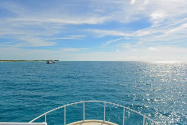 Half Moon Cay 'deki Pirates Cove' da gemi yayı, Little San Salvador Adası, Bahamalar. Half Moon Cay, Hollanda 'nın Bahamalar şehrinde bulunan özel bir adadır..