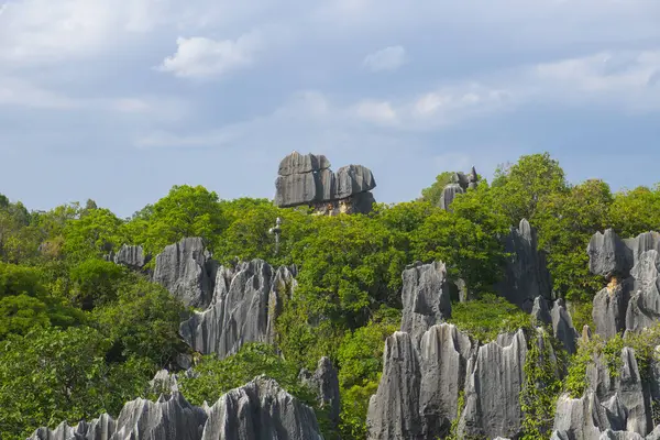 stock image Stone Forest or Shilin is a set of limestone formation located in Shilin County, Kunming City, Yunnan, China. Shilin is a part of South China Karst registered as UNESCO World Heritage Site. 